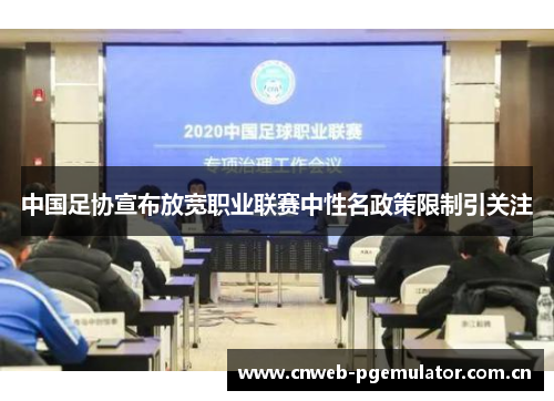 中国足协宣布放宽职业联赛中性名政策限制引关注